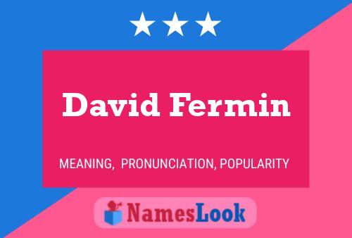 David Fermin Naam Poster