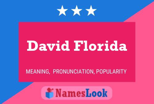 David Florida Naam Poster