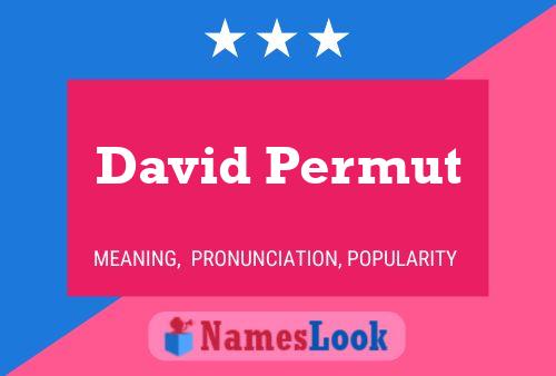 David Permut Naam Poster