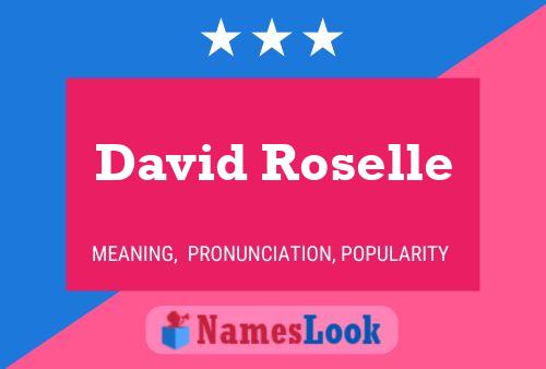 David Roselle Naam Poster