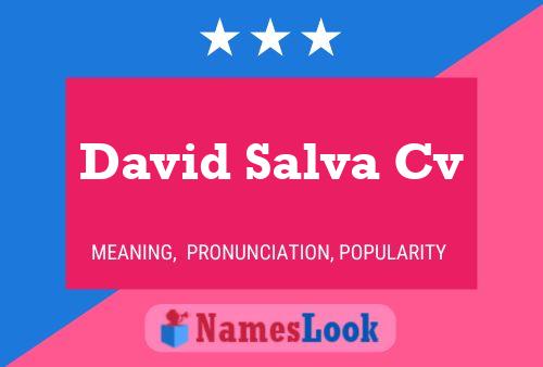 David Salva Cv Naam Poster