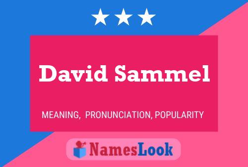 David Sammel Naam Poster