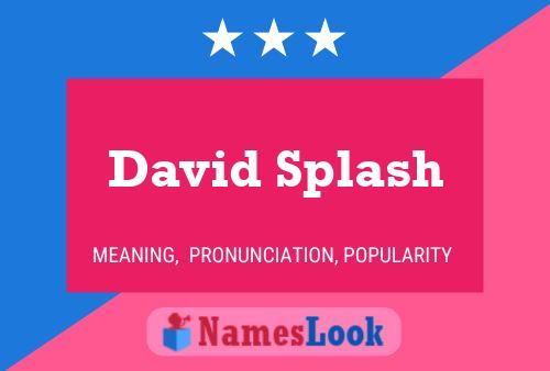 David Splash Naam Poster