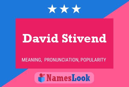 David Stivend Naam Poster