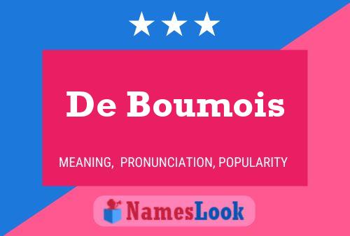 De Boumois Naam Poster