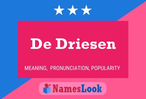 De Driesen Naam Poster