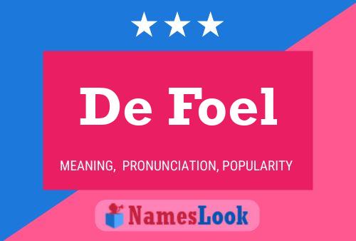 De Foel Naam Poster