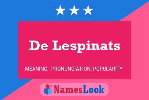 De Lespinats Naam Poster