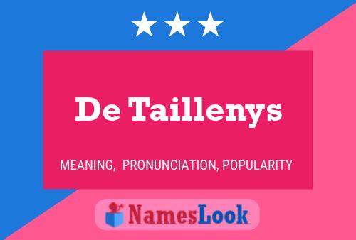 De Taillenys Naam Poster