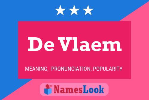 De Vlaem Naam Poster