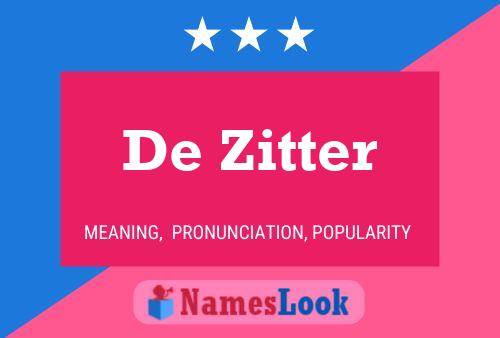 De Zitter Naam Poster