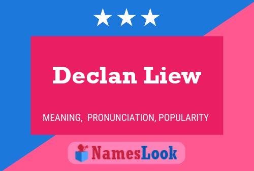 Declan Liew Naam Poster