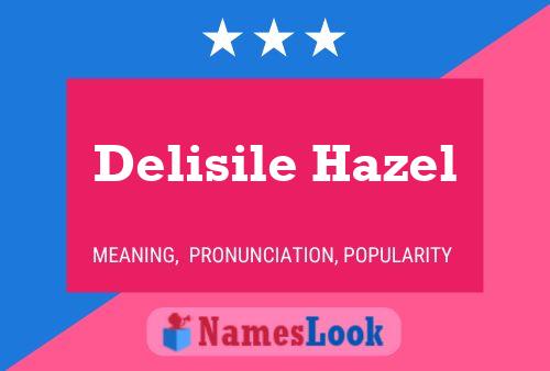 Delisile Hazel Naam Poster