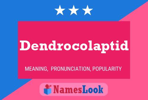 Dendrocolaptid Naam Poster