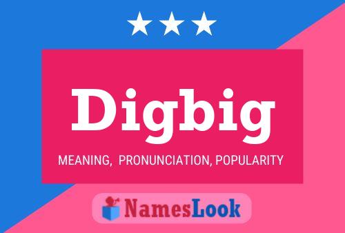 Digbig Naam Poster