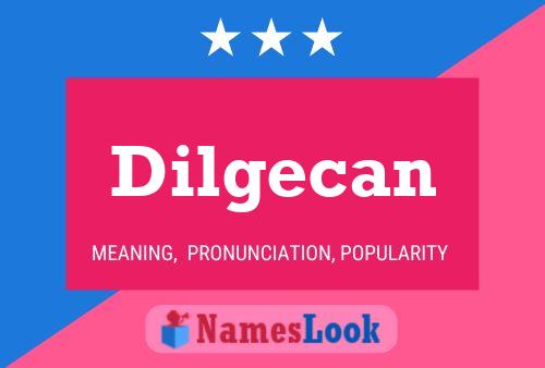 Dilgecan Naam Poster