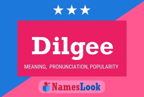 Dilgee Naam Poster