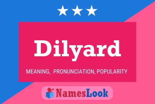 Dilyard Naam Poster