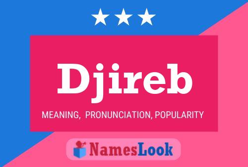 Djireb Naam Poster