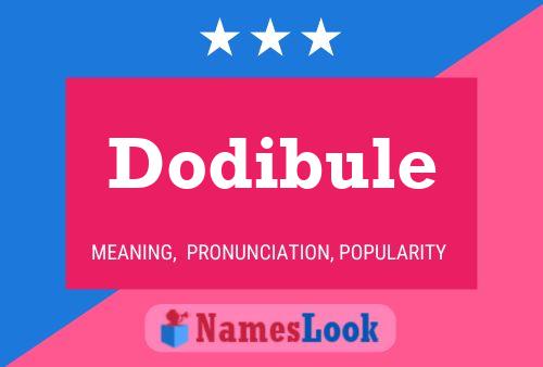 Dodibule Naam Poster