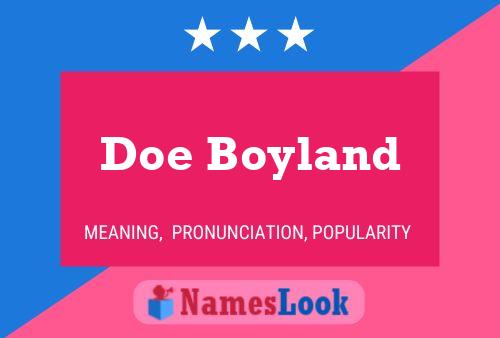 Doe Boyland Naam Poster