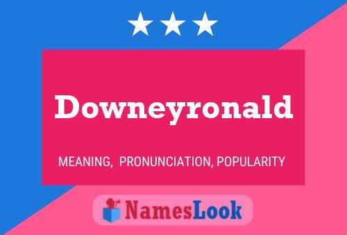 Downeyronald Naam Poster