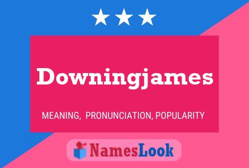 Downingjames Naam Poster