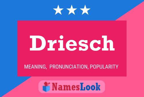 Driesch Naam Poster