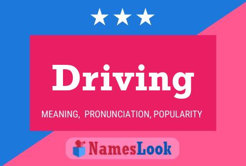 Driving Naam Poster