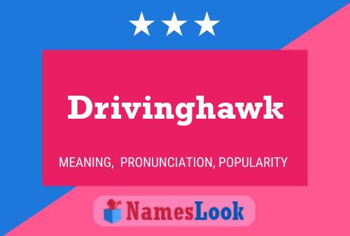 Drivinghawk Naam Poster