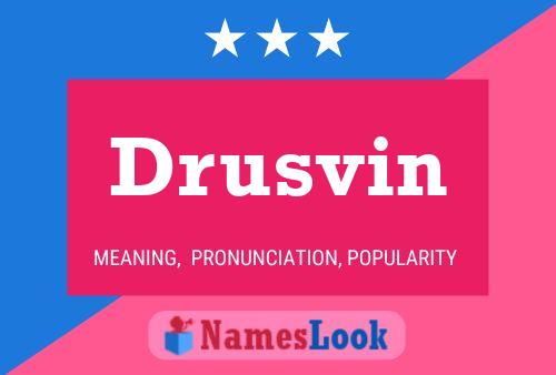 Drusvin Naam Poster