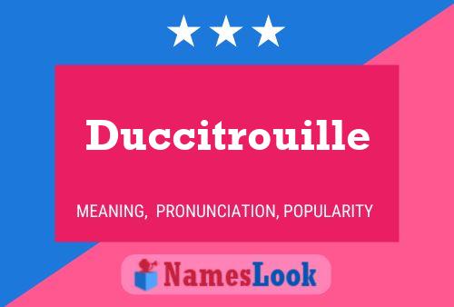 Duccitrouille Naam Poster