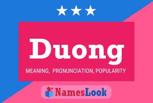 Duong Naam Poster