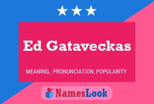 Ed Gataveckas Naam Poster