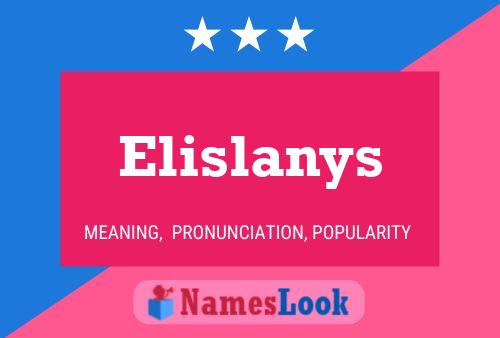 Elislanys Naam Poster