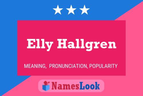 Elly Hallgren Naam Poster