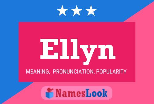 Ellyn Naam Poster