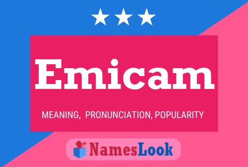 Emicam Naam Poster