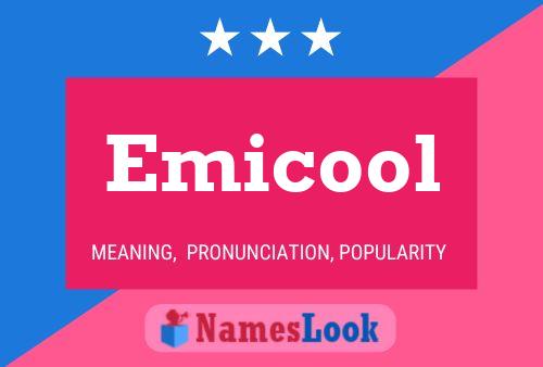 Emicool Naam Poster