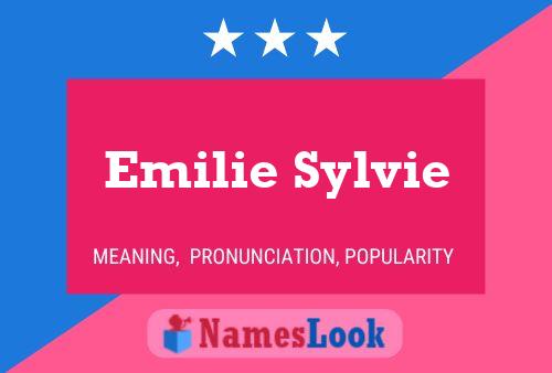 Emilie Sylvie Naam Poster