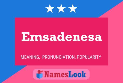 Emsadenesa Naam Poster