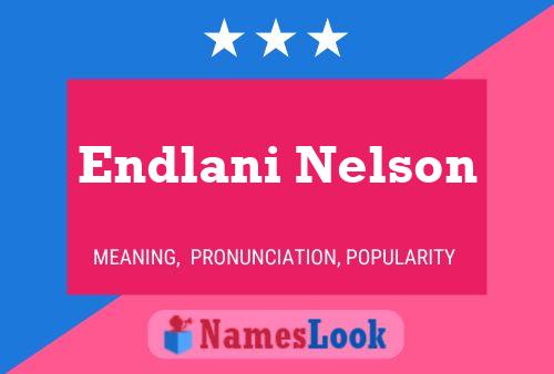 Endlani Nelson Naam Poster