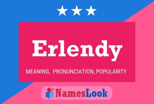 Erlendy Naam Poster