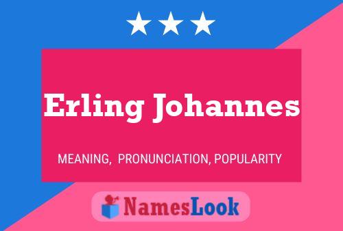 Erling Johannes Naam Poster