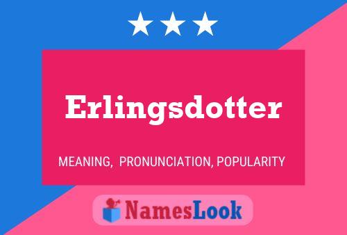 Erlingsdotter Naam Poster