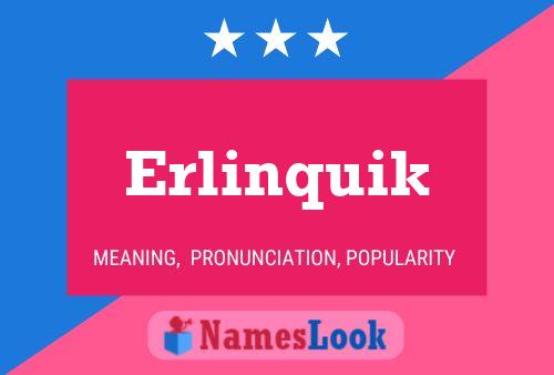 Erlinquik Naam Poster