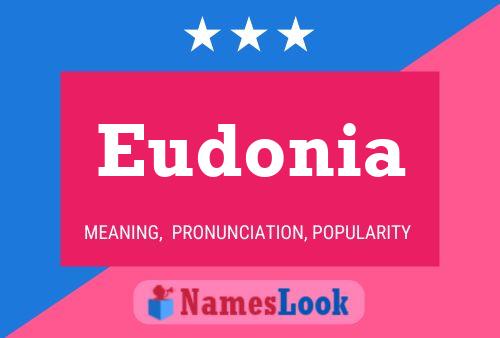 Eudonia Naam Poster