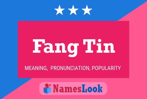 Fang Tin Naam Poster