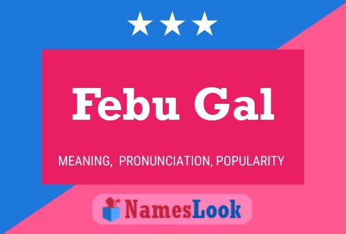 Febu Gal Naam Poster