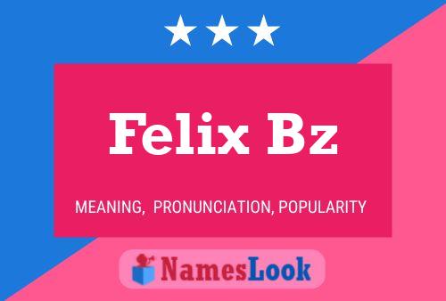 Felix Bz Naam Poster